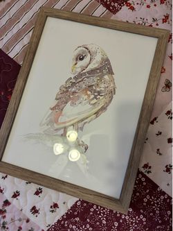 Owl Wall Art 🤍