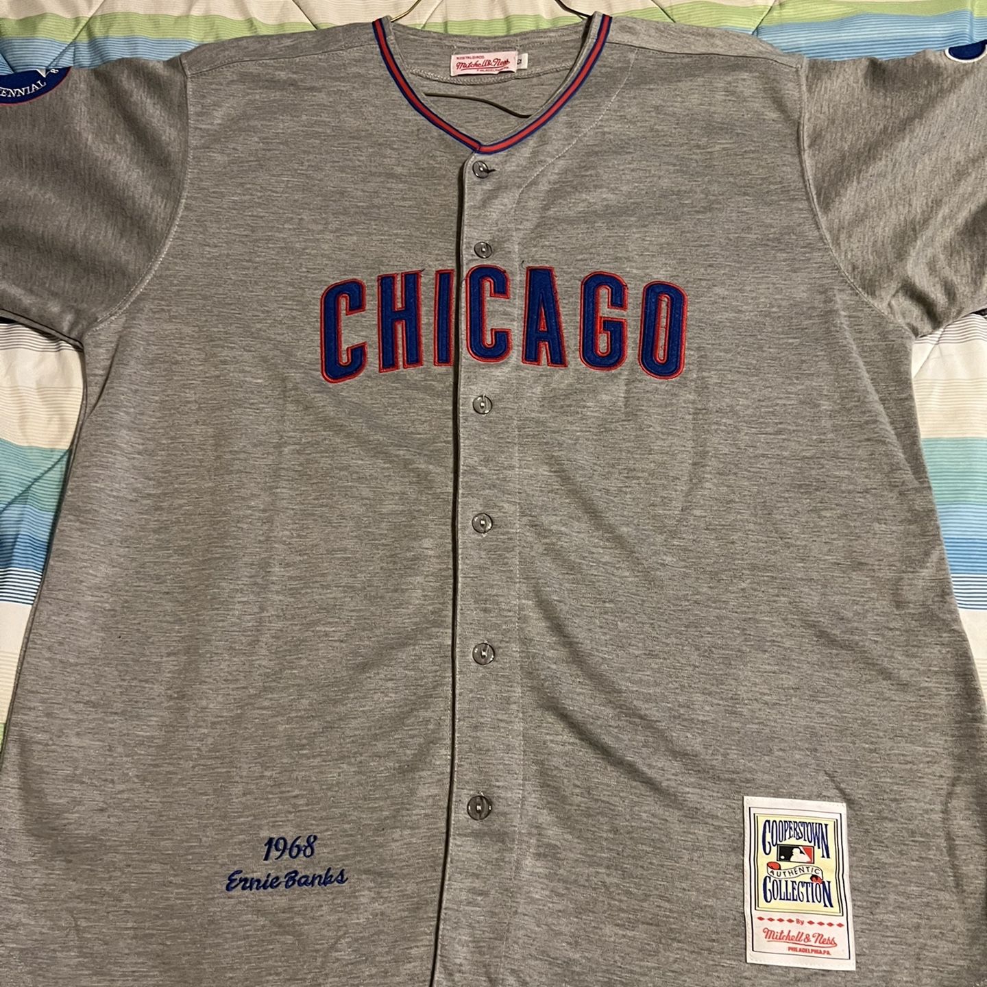Vintage Mitchell & Ness MLB Chicago Cubs Ernie Banks Baseball Jersey