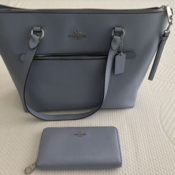 Coach Purse and Wallet