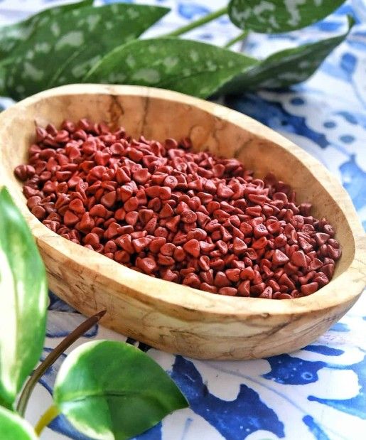 Annatto Tree 3gal Arboles De Achiote