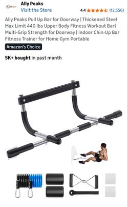 New Ally Peaks Pull Up Bar