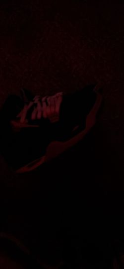 Jordan 4 Black Canvas