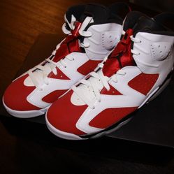 New) Nike Jordan 6 Carmine  Size 8.5