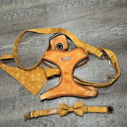 Sun Harness, Leash, Collar, Bandana & Poop Bag Set