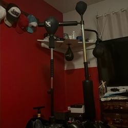 Hayabusa Boxing Stand And And Another Boxing Stand 