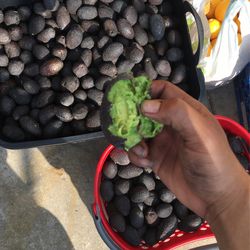 Good Avocados