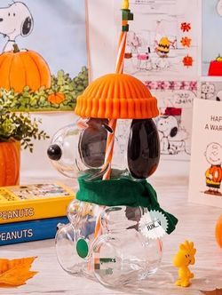 Starbucks Snoopy Glass Cups