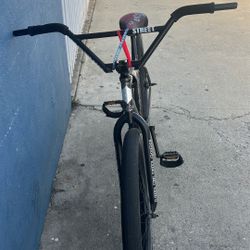 Chapo Guzman Street Co Stock