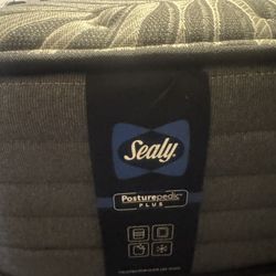 Sealy Posturepedic Mattress 10 Inches 