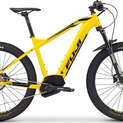 Fuji Ambient Evo 250 