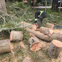 Firewood 