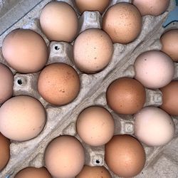 Eggs