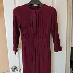Burgundy Pleated Long Sleeve Mini Dress Button Front Elegant Casual Dress