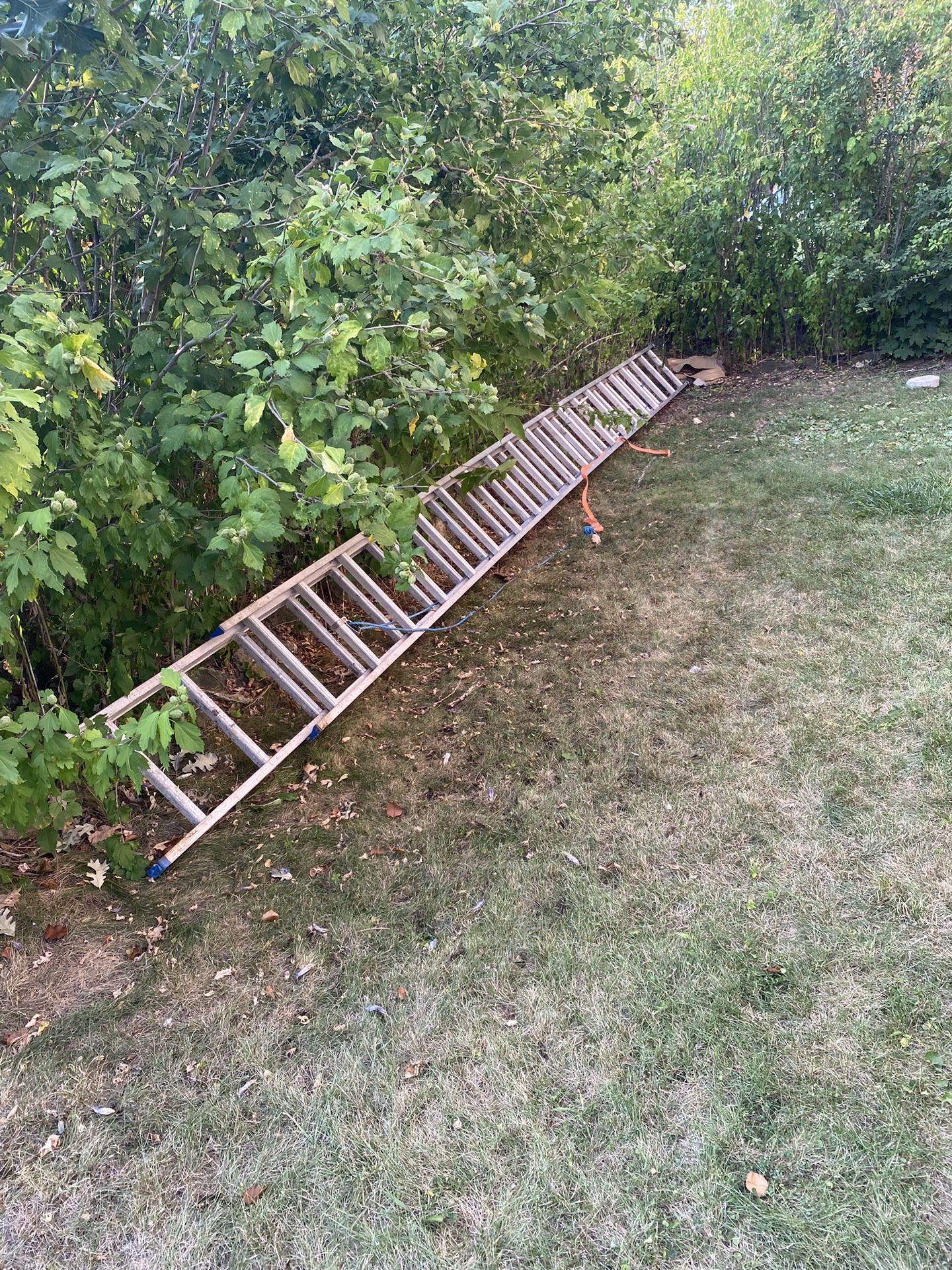 40’ Ladder For Sale!