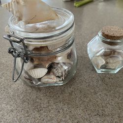 Seashells in a glass container