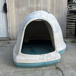 Dog House 