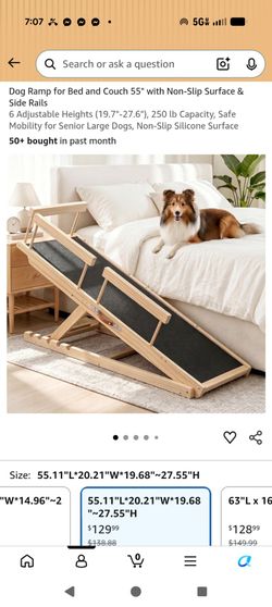 Large dog ramp