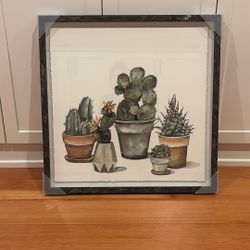 Framed Print of Cactus Houseplants