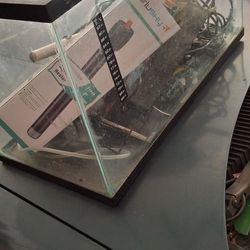 10 Gallon Fish Tank/nice Tank