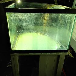 90 Gallon Corner Aquarium With Stand