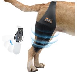 CHAMIN/RISURRY Dog Knee Brace With Adjustable Hinge Stabilizer, Dog ACL Knee Brace Support Osteoarthritis, Made With Premium Quality Neoprene(Right Le
