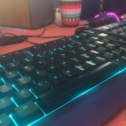 CynosaV2 Keyboard