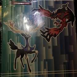 Pokemon Binder Full Of Megas And Exes 