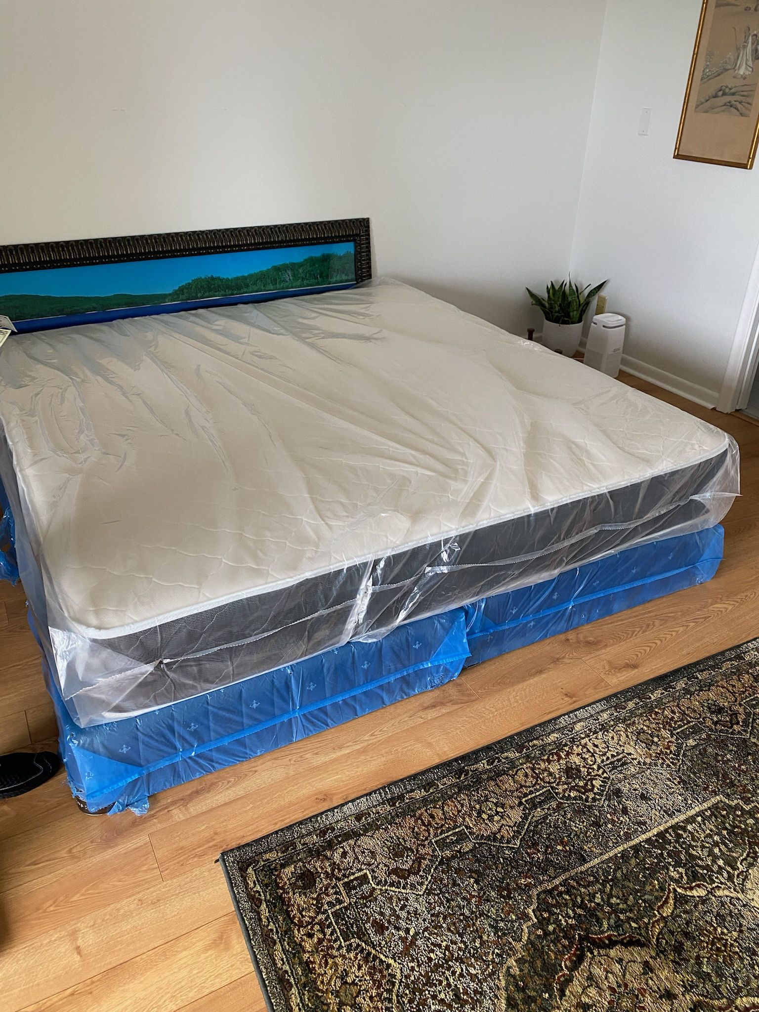 King mattress regular and box spring set (2pc - brand new) 