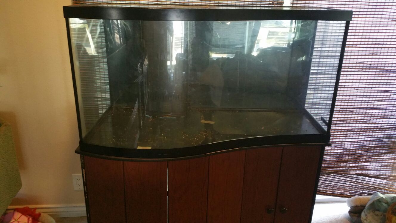 95 Gallon Wave Aquarium With Built In Overflow, glass lids and Cabinet Stand