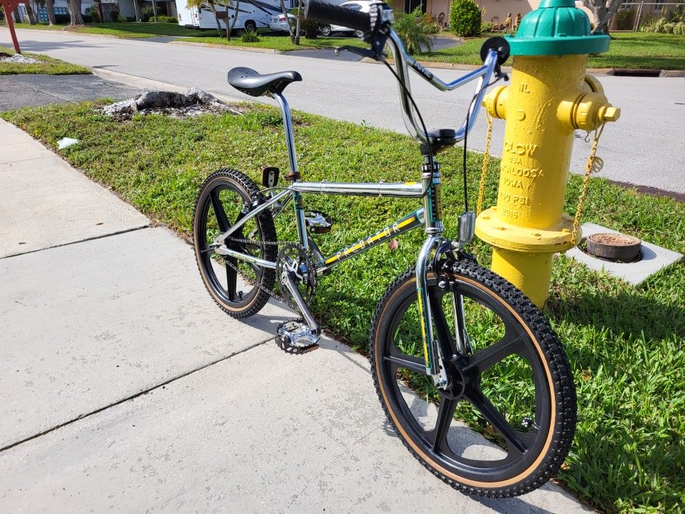 1982 Schwinn Predator Restored New Skyway New Tires