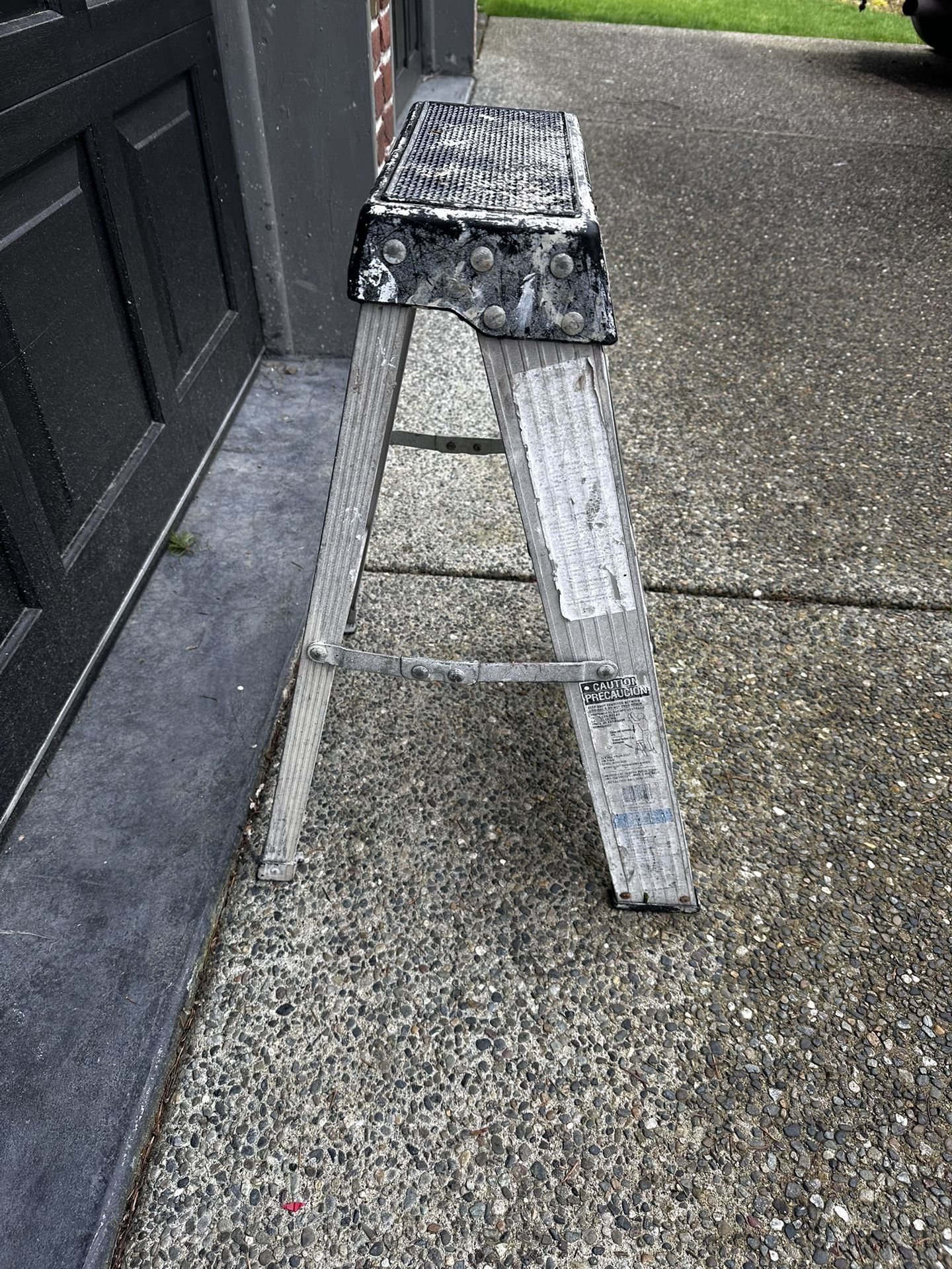 2’ Ladder