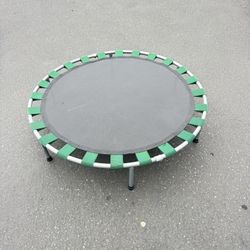 Trampoline 48”