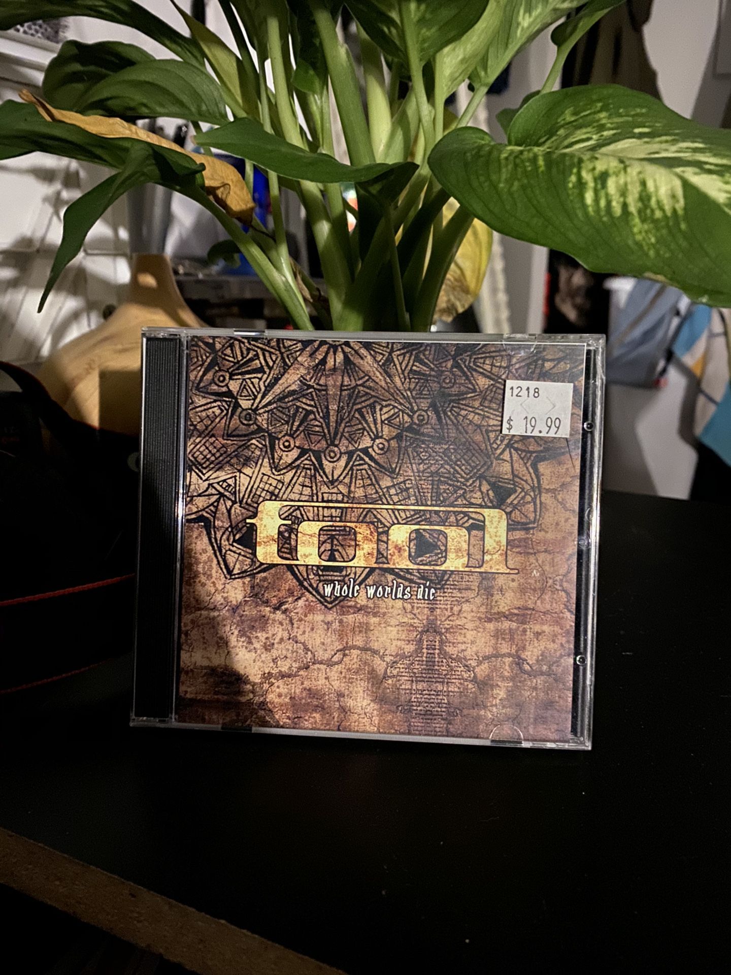 TOOL CD WHOLE WORLDS DIE ( live CD )