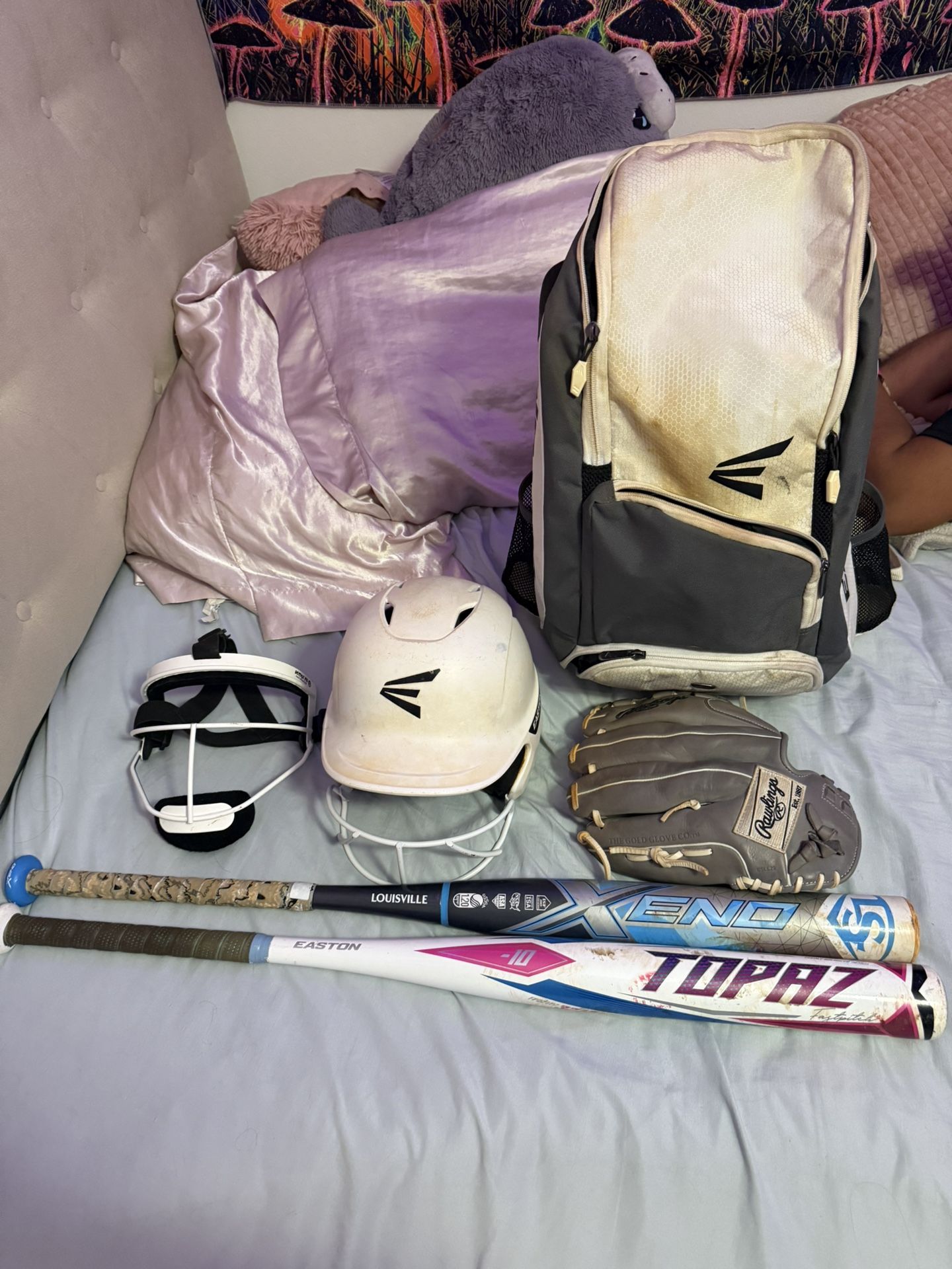 Softball Gear