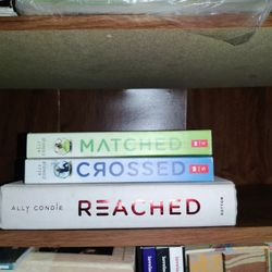 Matched Series Ally Condie