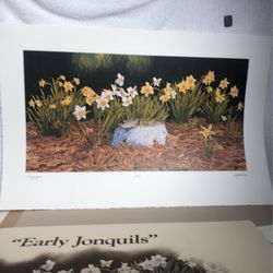 —Bob Timberlake “Early Jonquils” 