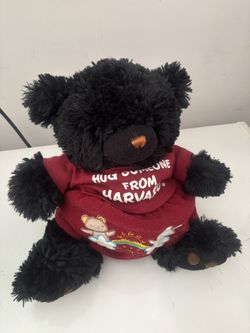 Stuffed Teddy Bear 🧸 