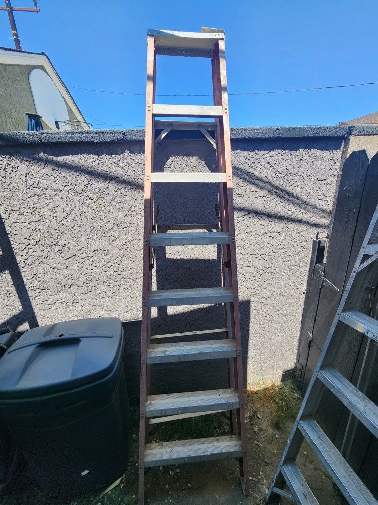 Heavy Duty Ladder