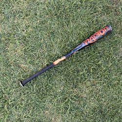Rawlings Raptor Baseball Bat