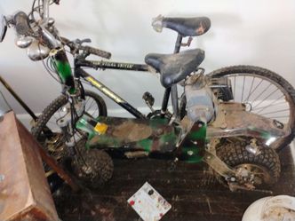 GASOLINE MOPED