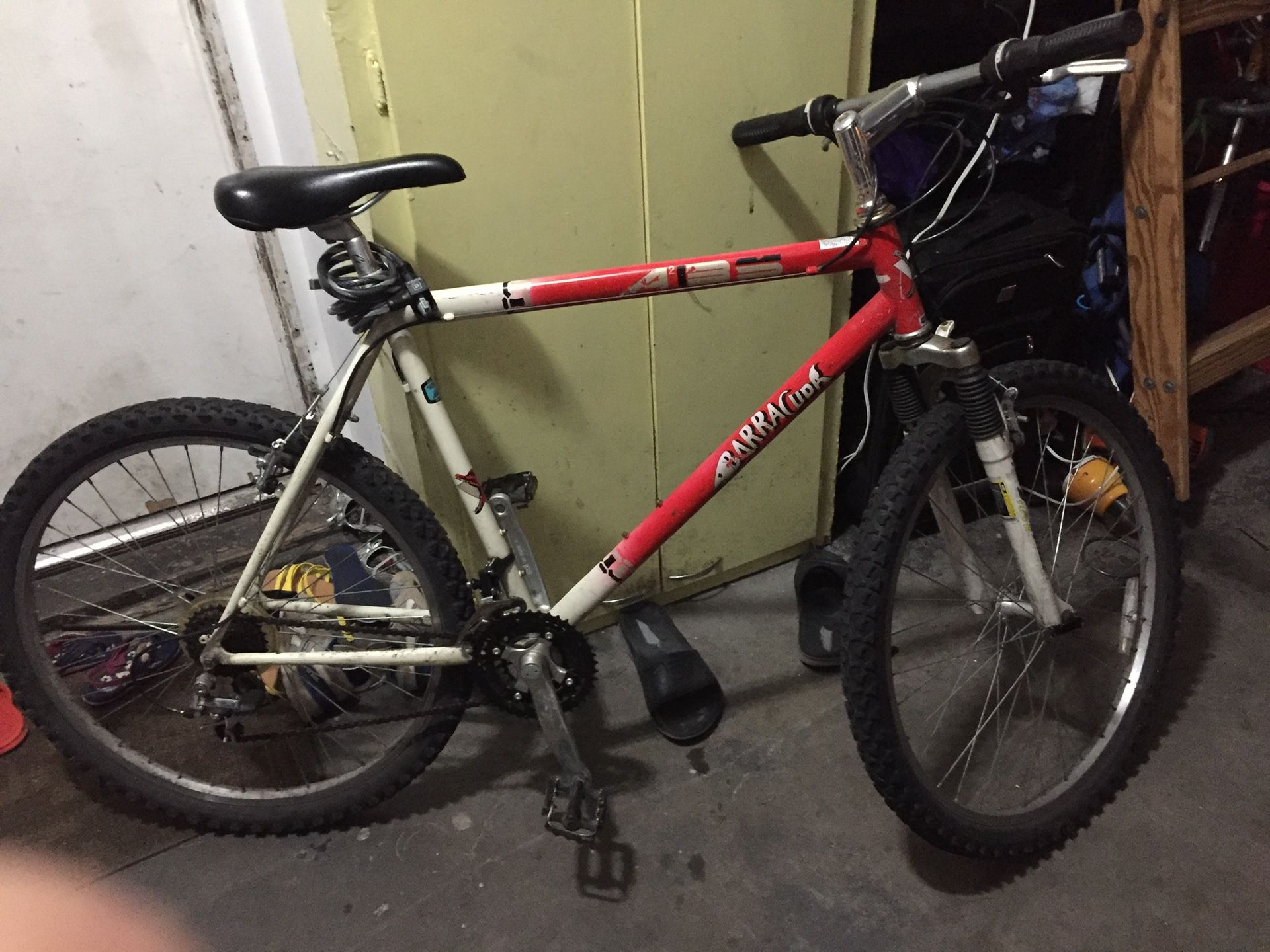 Barracuda Bicycle Size 26