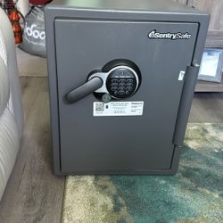 Sentrysafe Home Safe