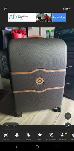 Delsey Paris Hardshell Spinner Luggage