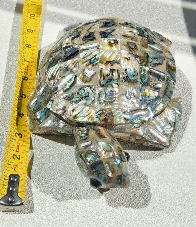 Abalon Turtle