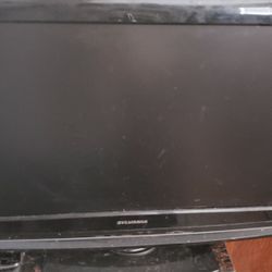 TV, Computer Monitor