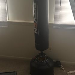 Stand Up Punching Bag