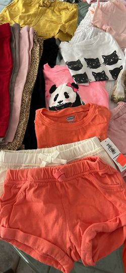 Baby Girl Clothes Size 12 - 18 Months 