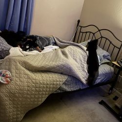 Queen Bed Frame W/ Mattress