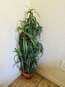 Fake tree  3 ft tall