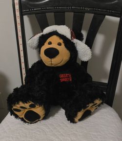 Great Smokey Mountains Big Foot Bear
